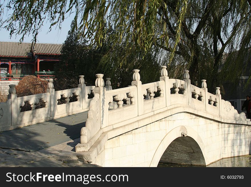 Bridge under willow