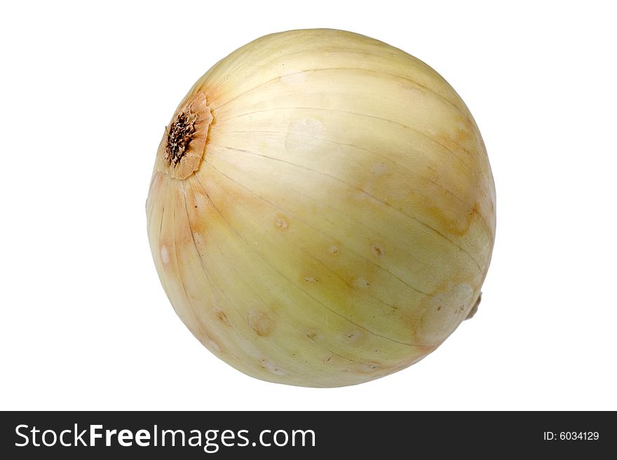 Single onion isolated against white background