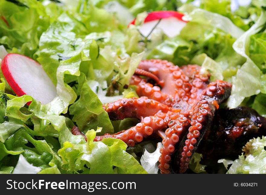 Close up of octopus in salad