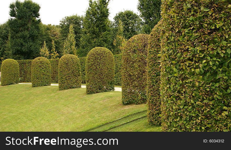 Baroque Garden