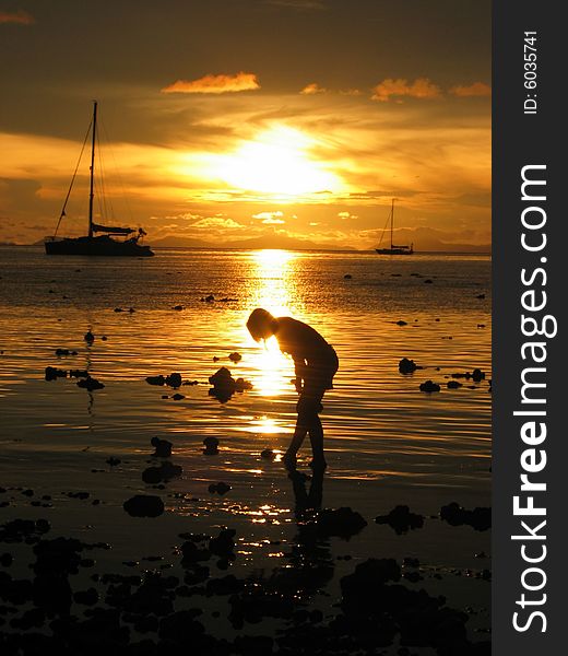 A girl walking on the beach in the golden sunset. A girl walking on the beach in the golden sunset.