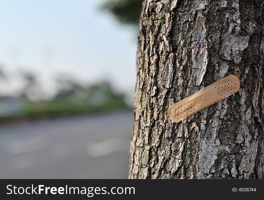 Wood Textures as a background. Wood Textures as a background