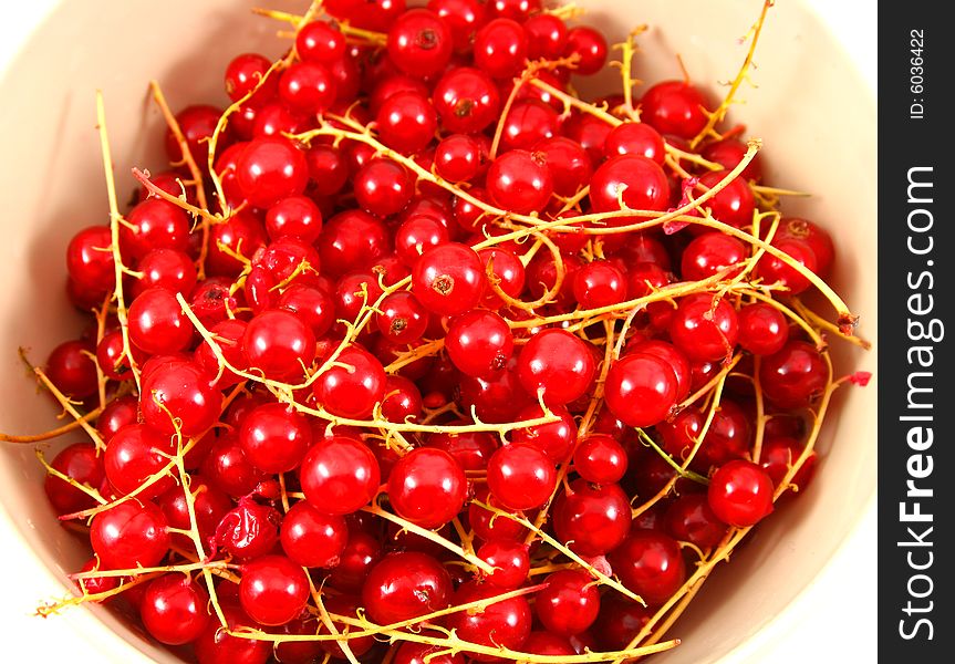 Fresh red and sweet currants. Fresh red and sweet currants