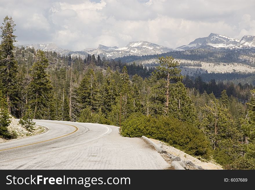 Empty Road in Yosemite National Park