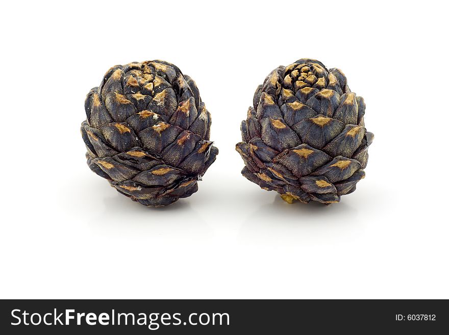 Couple of unripe cedar cones on white background. Couple of unripe cedar cones on white background