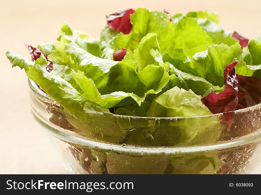 Fresh healthy green salad close up shoot