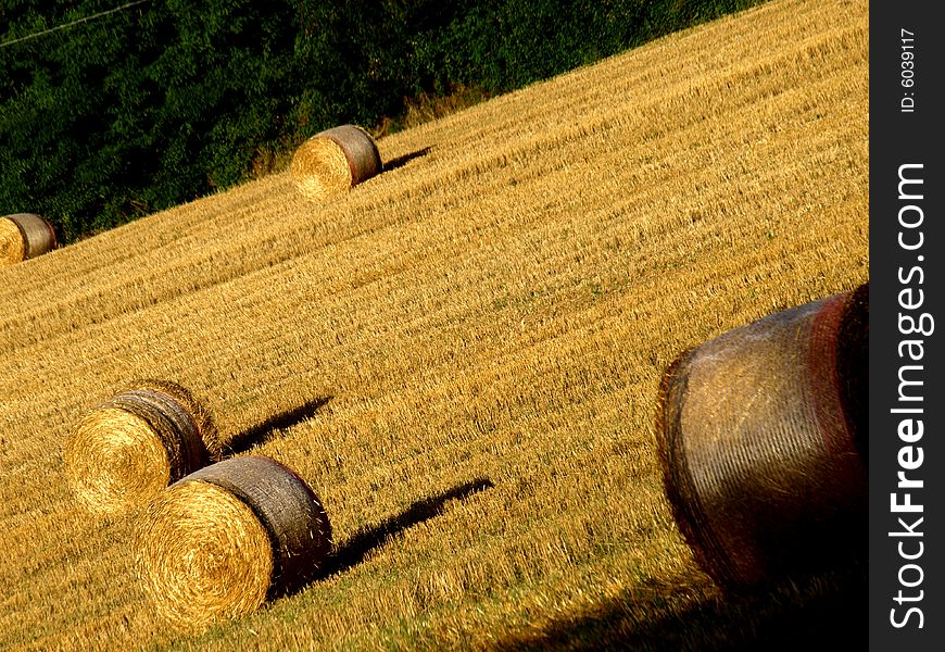 A good shot of some hay's rolls in a field