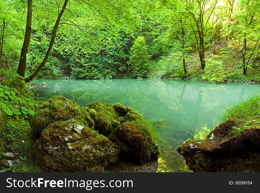 Forest river source scene, Croatia