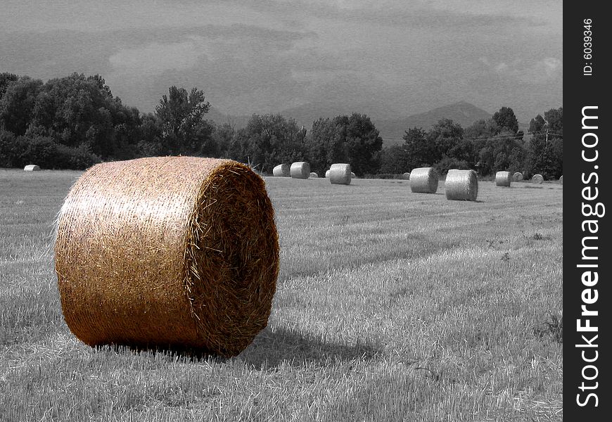 An hay's ball in a field. An hay's ball in a field