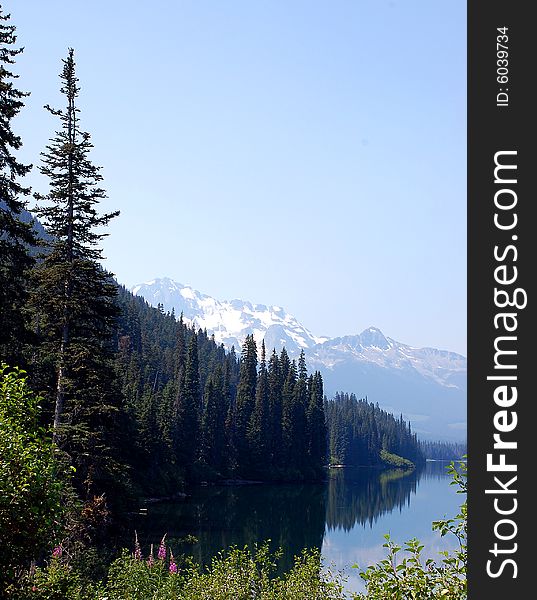 Reflective mountain lake with trees and wildflowers