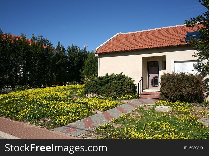 House with Daisies on the Lawn