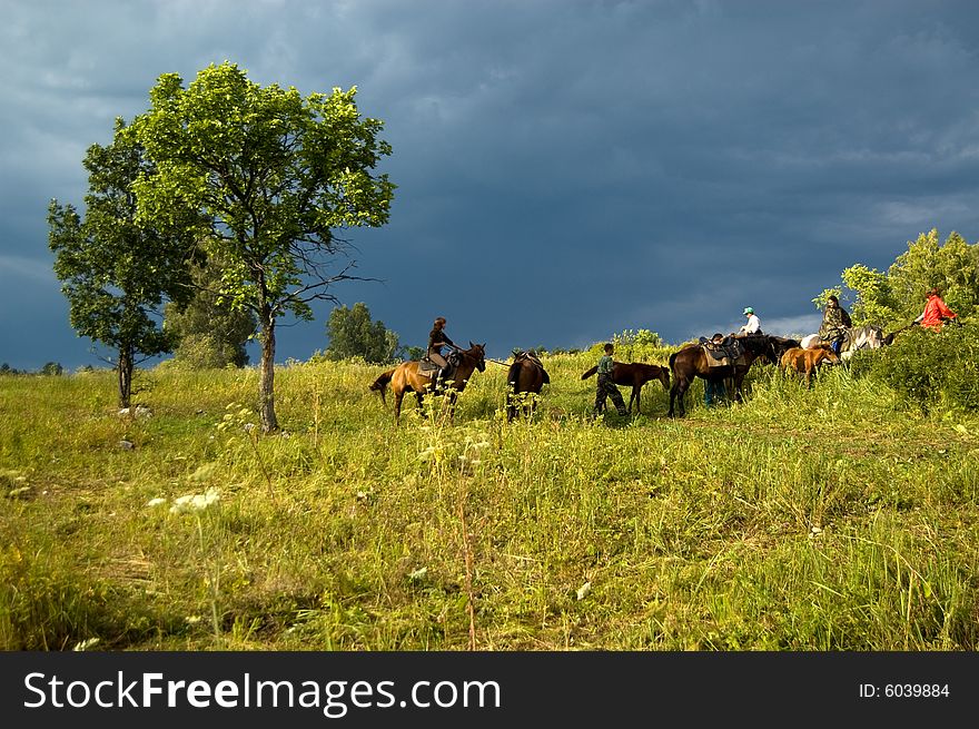 Silhouette of a horse on teh field