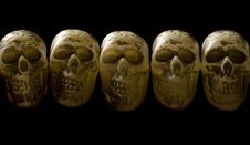 Row Of Skulls Royalty Free Stock Photo