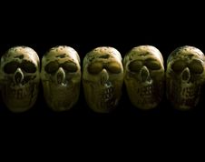 Row Of Skulls Stock Photography