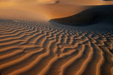 Golden Sand Curves Stock Images