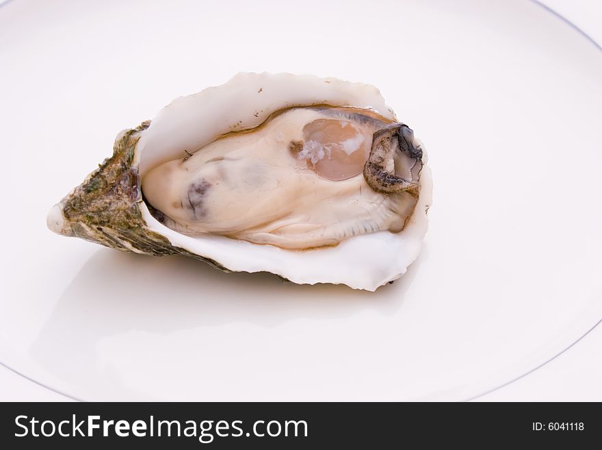 Single Oyster in the shell on a plate