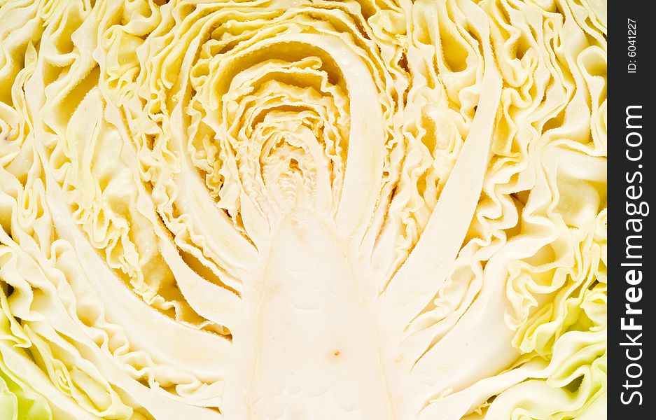 Texture of a sliced head of cabbage - detail. Texture of a sliced head of cabbage - detail