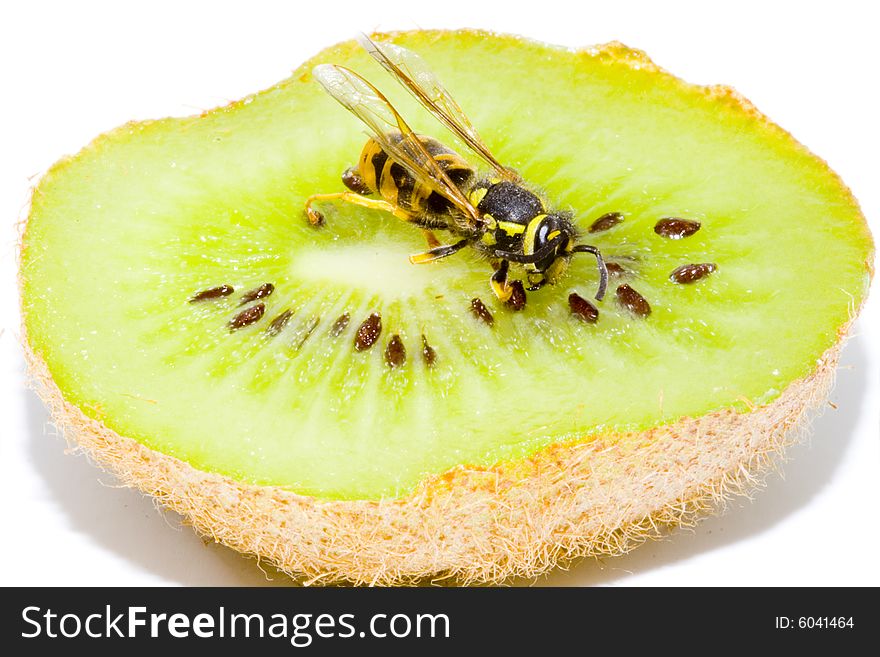 Wasp On A Kiwifruit