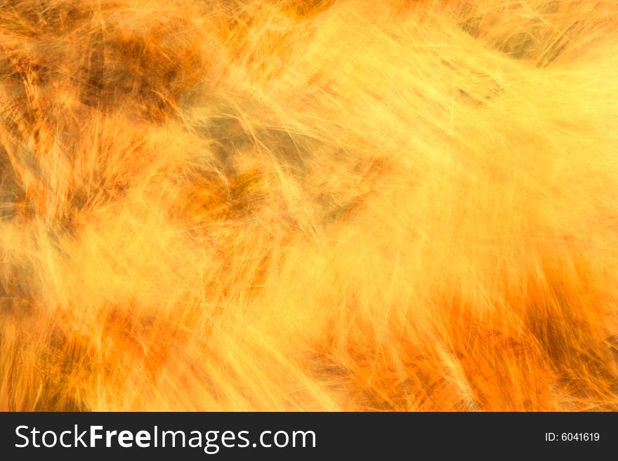 Long exposure dry grass background