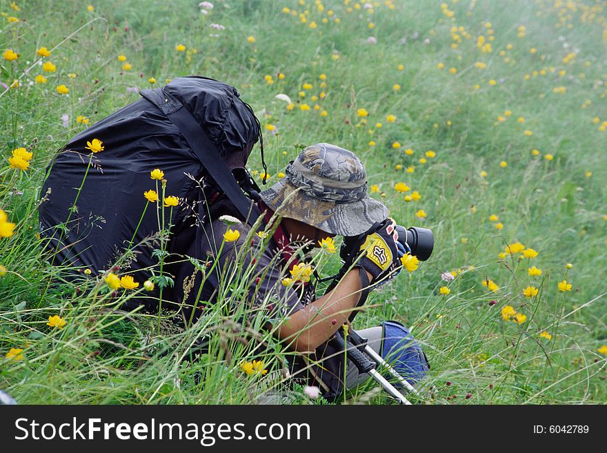 Nature photographer taking photos for wild flowers