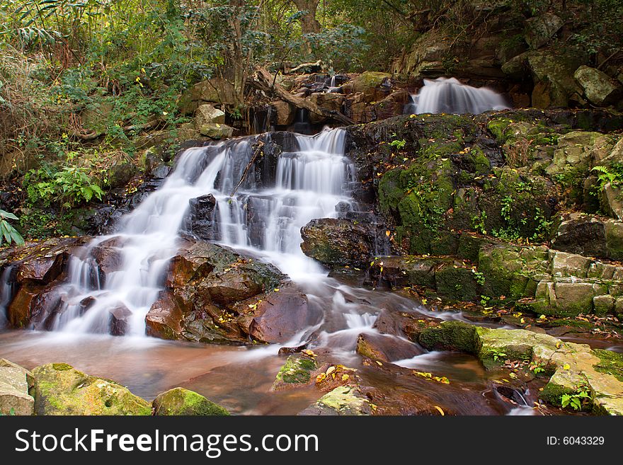 Cascading waterfall in forest area