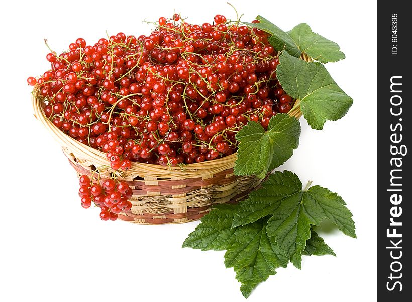 Fresh red currant in a basket on a white background