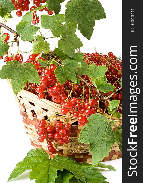 Fresh red currant in a basket on a white background