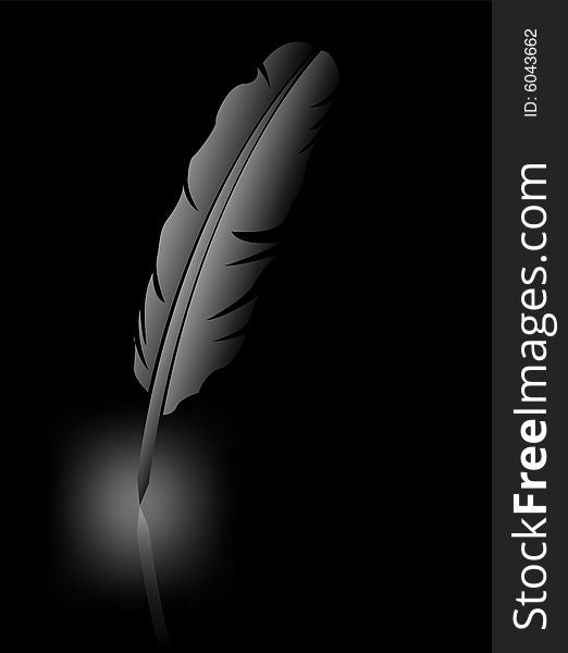 Feather on black background, vector illustration