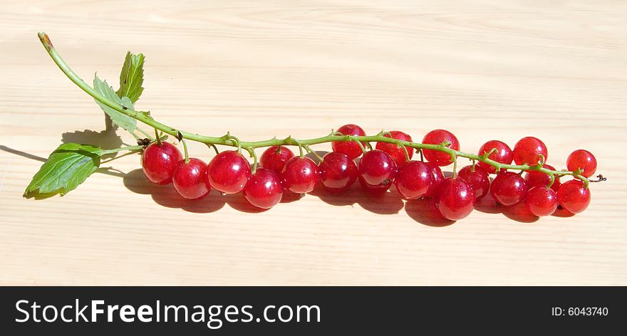 A red ripe currant berry