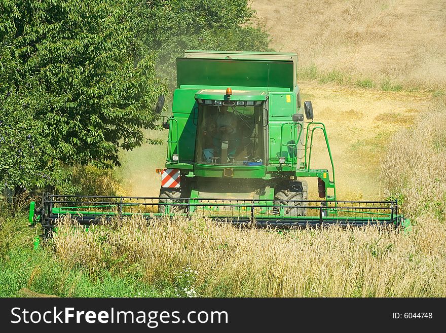 Harvester gathers bad crops of grain.
