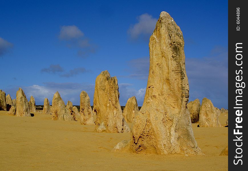 Pinnacles - fossil stone or sand or tree