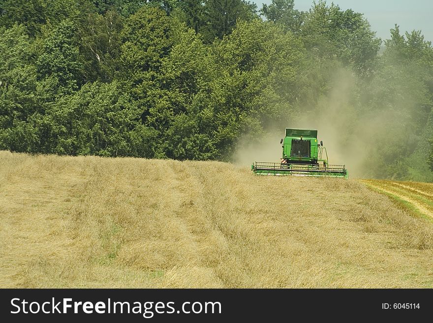 Harvester gathers bad crop of wheat. Harvester gathers bad crop of wheat