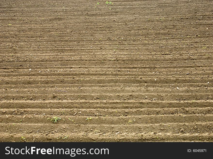 Close-up of a fertile brown soil. Close-up of a fertile brown soil