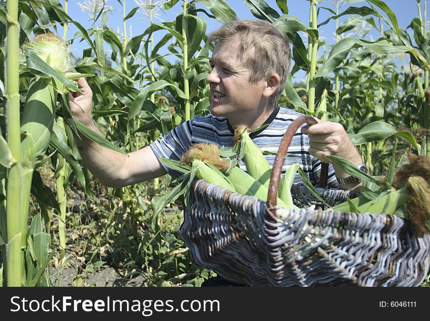 I like boiled corn. I grow its corn itself. my corn real
all natural! no chemistry!. I like boiled corn. I grow its corn itself. my corn real
all natural! no chemistry!