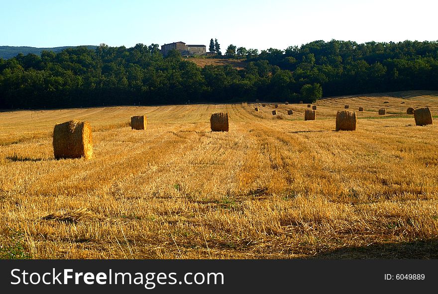 A wonderful landscape of Tuscany country with hay's rolls. A wonderful landscape of Tuscany country with hay's rolls