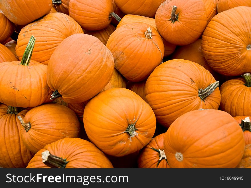 Piles of pumpkins in the fall