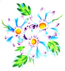 Marguerites Royalty Free Stock Images Marguerites Royalty Free Stock Images
