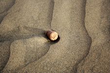 CORK IN SAND Royalty Free Stock Photography CORK IN SAND Royalty Free Stock Photography