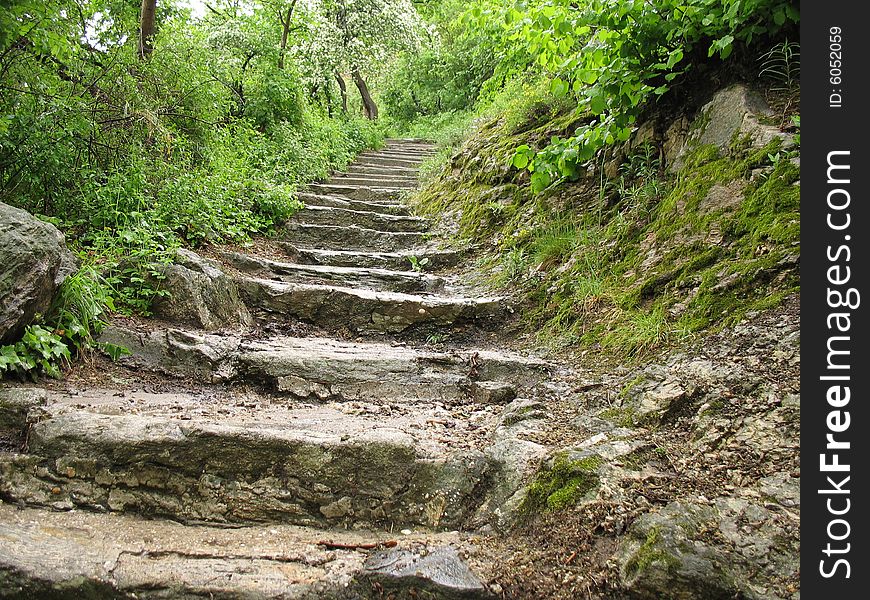 Stairs of stone through dense forest. Stairs of stone through dense forest