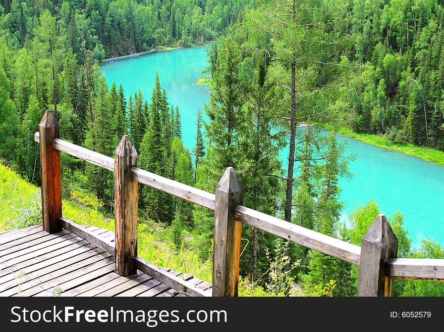 The road through the forest of Canus Water Sinkiang china .