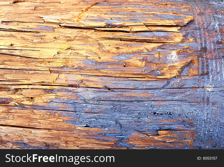 A close-up of tree bark. Useful for textures and backgrounds. A close-up of tree bark. Useful for textures and backgrounds.