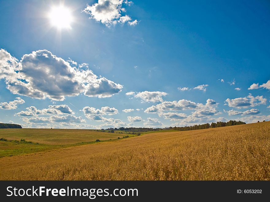 An image of yellow field under blue sky with sun. An image of yellow field under blue sky with sun