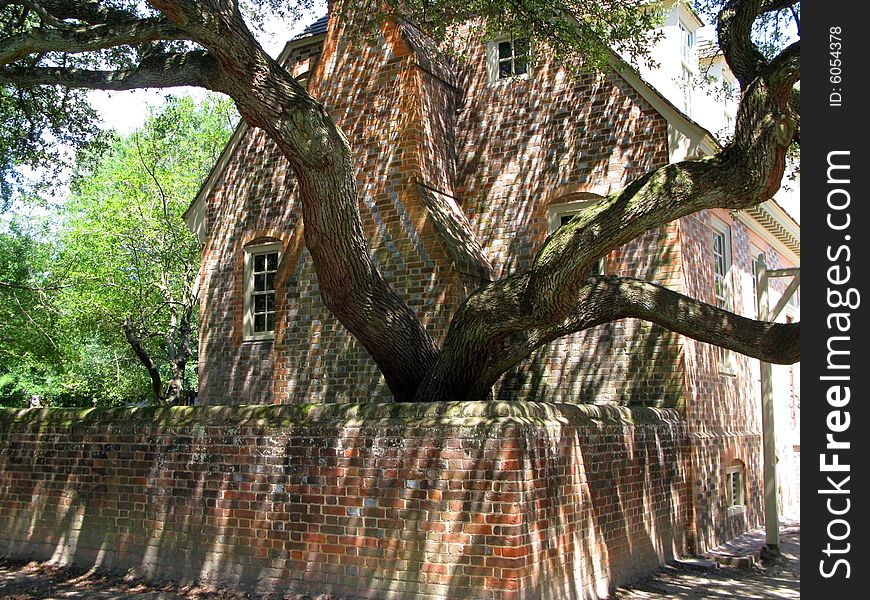 Cool Tree Outside Old Brick Home