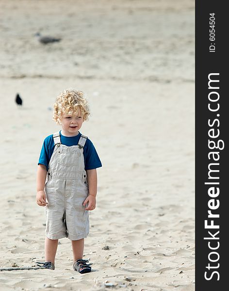 Cute young boy at the beach