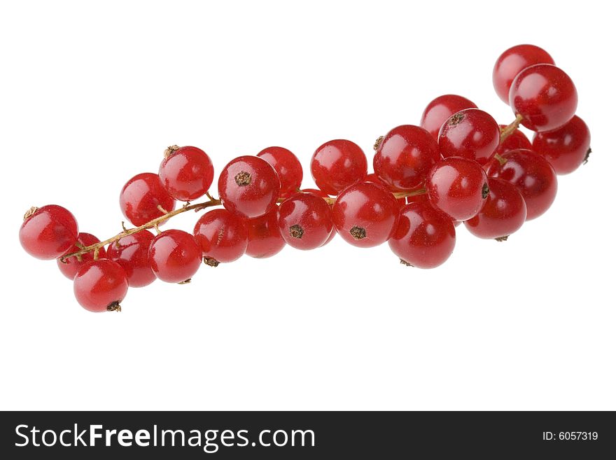 Red currants isolated against white background (no shadows)