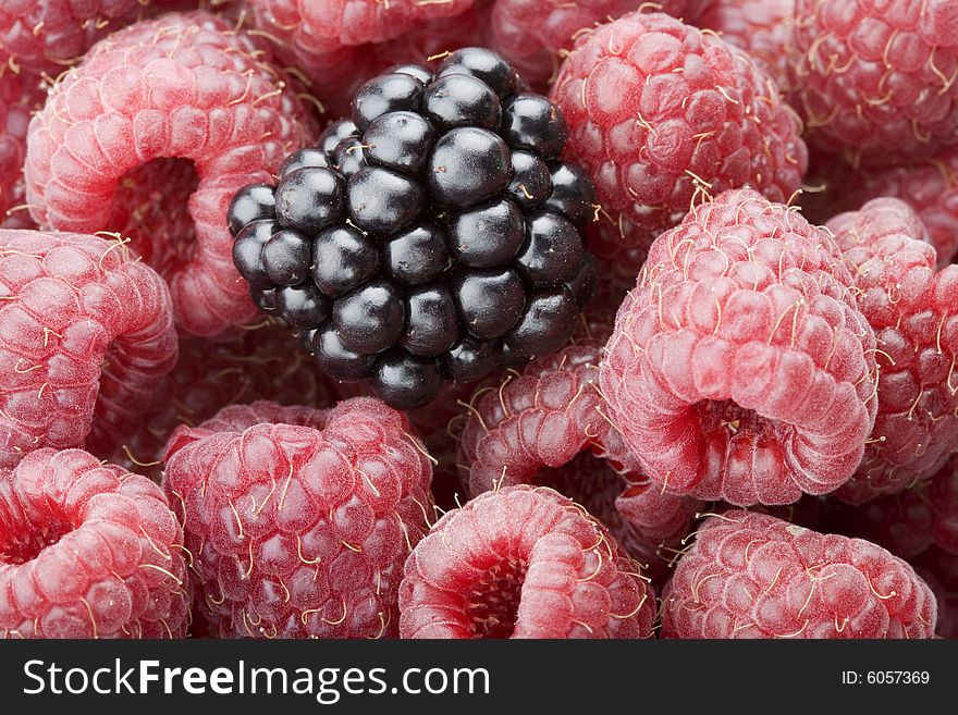 Raspberries and a blackberry forming a fruit background. Raspberries and a blackberry forming a fruit background