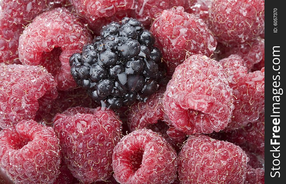 Close-up of raspberries and blackberry covered in water droplets. Close-up of raspberries and blackberry covered in water droplets
