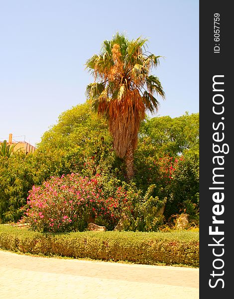 Picturesque arabic garden in Sousse, Tunisia