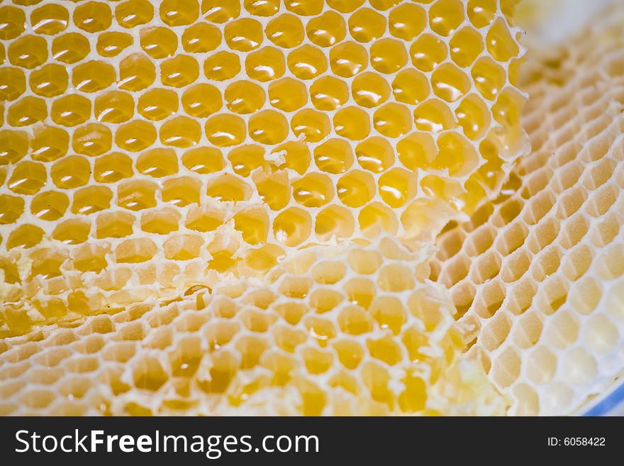 Honeycomb and honey macro detail