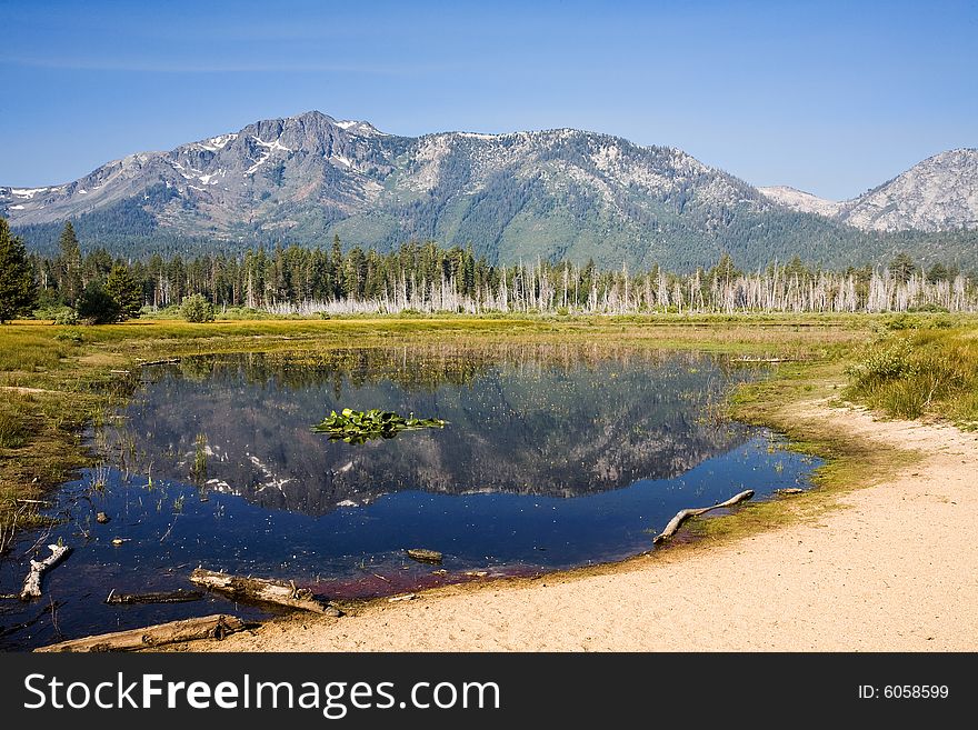 Californiaâ€™s Mount Tallac reflected in Taylor Creek Pond Lake Tahoe. Californiaâ€™s Mount Tallac reflected in Taylor Creek Pond Lake Tahoe